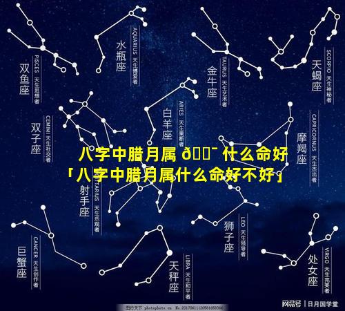 八字中腊月属 🐯 什么命好「八字中腊月属什么命好不好」